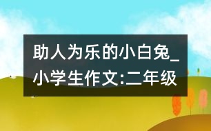 助人為樂(lè)的小白兔_小學(xué)生作文:二年級(jí)