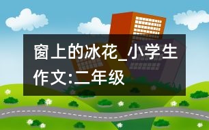 窗上的冰花_小學(xué)生作文:二年級