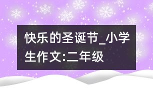 快樂(lè)的圣誕節(jié)_小學(xué)生作文:二年級(jí)