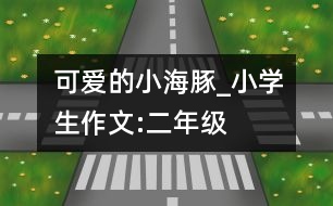 可愛(ài)的小海豚_小學(xué)生作文:二年級(jí)