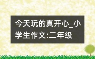 今天玩的真開心_小學(xué)生作文:二年級(jí)