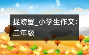 捉螃蟹_小學生作文:二年級