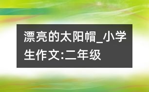 漂亮的太陽帽_小學(xué)生作文:二年級(jí)