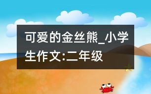 可愛(ài)的金絲熊_小學(xué)生作文:二年級(jí)