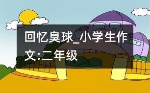 回憶臭球_小學生作文:二年級