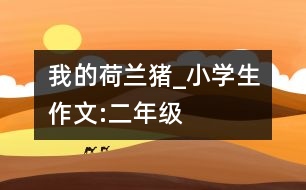 我的荷蘭豬_小學生作文:二年級
