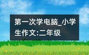 第一次學(xué)電腦_小學(xué)生作文:二年級