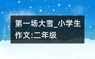 第一場大雪_小學(xué)生作文:二年級