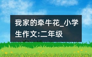 我家的牽?；╛小學(xué)生作文:二年級(jí)