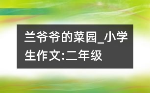 蘭爺爺?shù)牟藞@_小學(xué)生作文:二年級(jí)