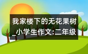我家樓下的無花果樹_小學生作文:二年級