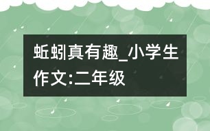 蚯蚓真有趣_小學(xué)生作文:二年級(jí)
