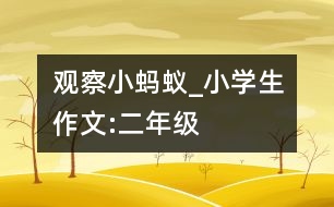 觀察小螞蟻_小學(xué)生作文:二年級(jí)