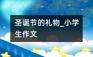圣誕節(jié)的禮物_小學生作文