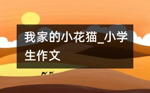 我家的小花貓_小學生作文