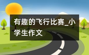有趣的飛行比賽_小學生作文