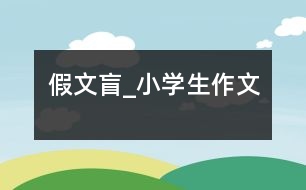 假文盲_小學生作文