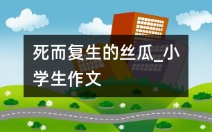 死而復生的絲瓜_小學生作文