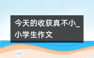 今天的收獲真不小_小學生作文