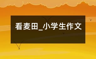 看麥田_小學生作文