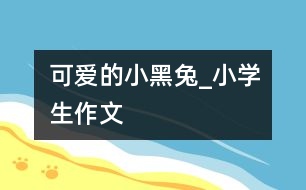 可愛的小黑兔_小學生作文