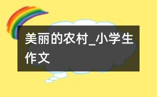 美麗的農村_小學生作文