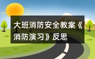 大班消防安全教案《消防演習》反思
