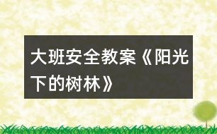 大班安全教案《陽(yáng)光下的樹(shù)林》