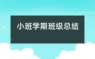小班學(xué)期班級總結(jié)