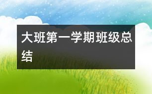 大班第一學(xué)期班級(jí)總結(jié)