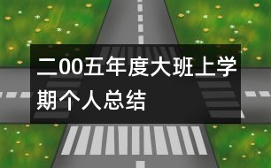 二00五年度大班上學(xué)期個人總結(jié)