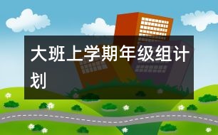 大班上學(xué)期年級組計(jì)劃