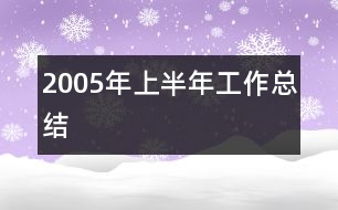 2005年上半年工作總結
