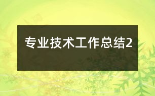 專(zhuān)業(yè)技術(shù)工作總結(jié)2