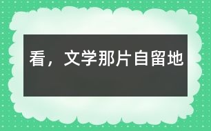看，文學那片自留地