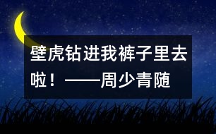 “壁虎”鉆進(jìn)我褲子里去啦！――周少青隨筆兩篇