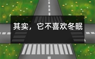 其實，它不喜歡冬眠