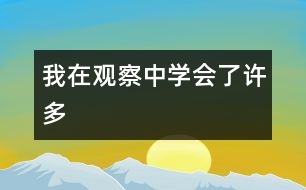 我在觀(guān)察中學(xué)會(huì)了許多