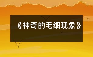 《神奇的毛細現(xiàn)象》