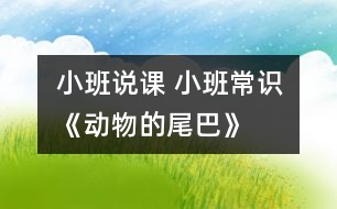 小班說課： 小班常識(shí)《動(dòng)物的尾巴》