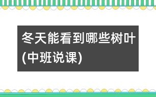 冬天能看到哪些樹葉(中班說課)