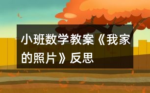 小班數(shù)學教案《我家的照片》反思