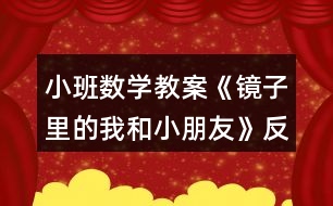 小班數(shù)學教案《鏡子里的我和小朋友》反思