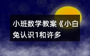 小班數(shù)學(xué)教案《小白兔認識“1”和許多》反思