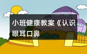 小班健康教案《認識“眼、耳、口、鼻”》反思