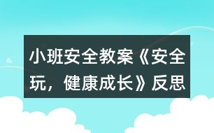 小班安全教案《安全玩，健康成長》反思