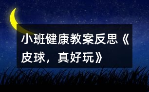 小班健康教案反思《皮球，真好玩》