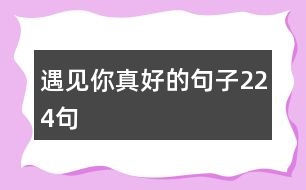 遇見(jiàn)你真好的句子224句
