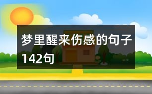 夢(mèng)里醒來傷感的句子142句