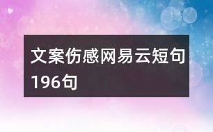 文案?jìng)芯W(wǎng)易云短句196句